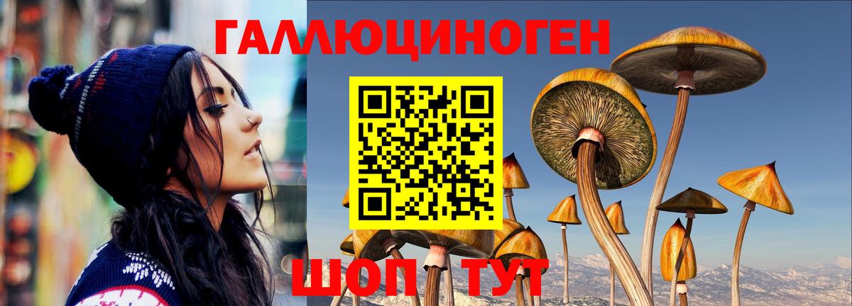 Галлюциногенные грибы мухоморы Киров