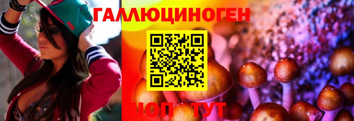 Псилоцибиновые грибы Psilocybe  Вход с VPN  где найти наркотики  Киров  Галлюциногенные грибы Cubensis 